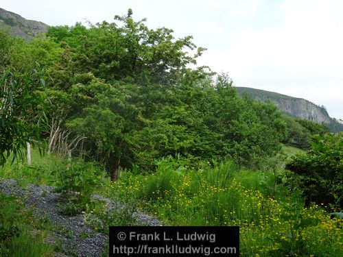 Around Glencar Lake